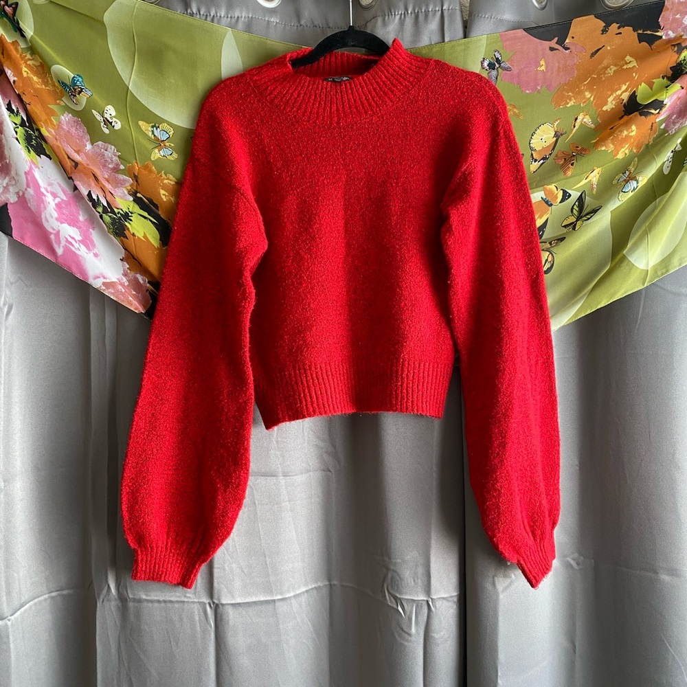 red wild fable wide sleeve sweater